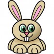 Hase