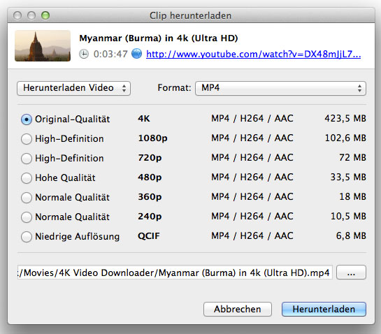 4K_Video_Downloader_2