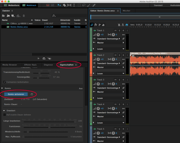 Screenshot Adobe Audition Remix
