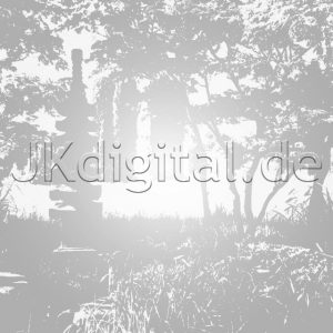 Dezentes Wasserzeichen