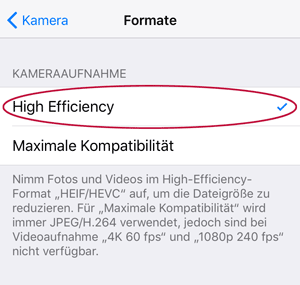 Screenshot iOS 11 Kamera High Efficiency Setting
