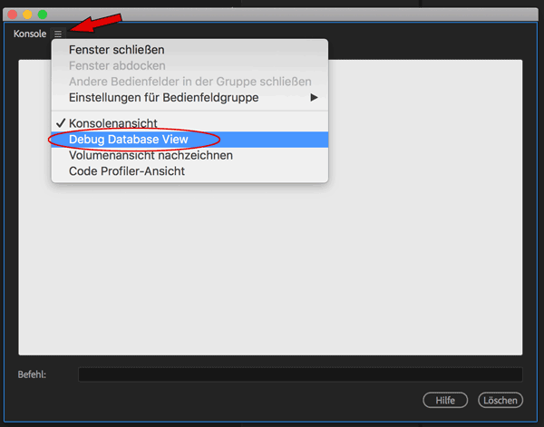 Screenshot Debug Database View
