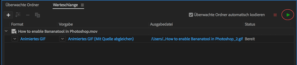 Screenshot Adobe Media Encoder Encoding starten
