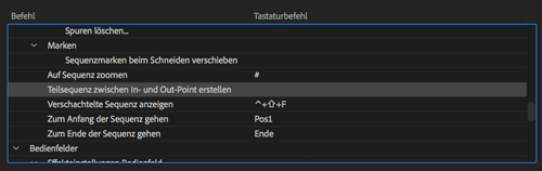 Screenshot Premiere Teilsequenz In Out