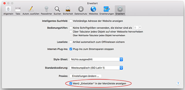 Screenshot Safari Entwickler Menü
