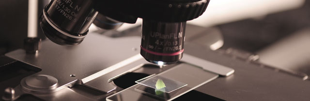 Symbolbild Videoanalyse