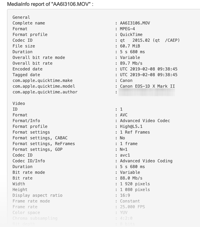 Screen Video-Analysedaten MediaInfo Online
