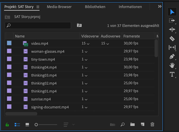 Screenshot Premiere Projektpanel mit Videoverwendung