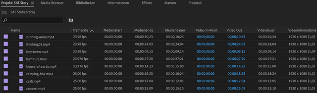 Screenshot Premiere Projektpanel