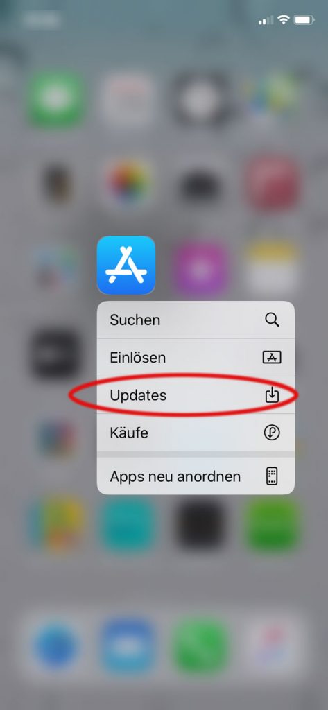 Screenshot iOS 13 Haptic Touch App Store Updates