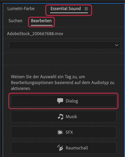 Premiere Essential Sound Panel