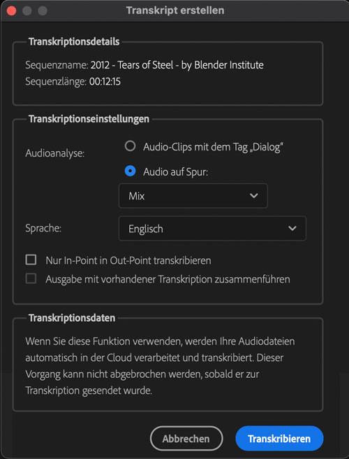 Transkript in Premiere erstellen - Screenshot