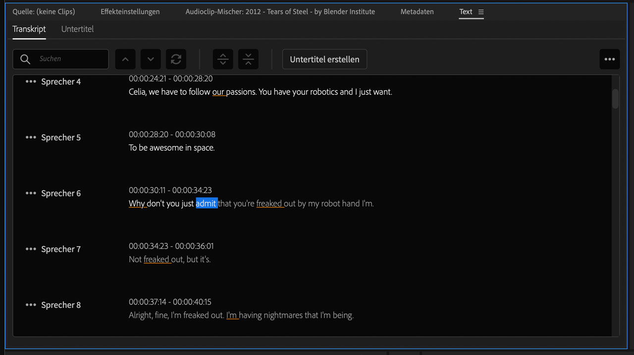Screenshot fertiges Transkript in Adobe Premiere