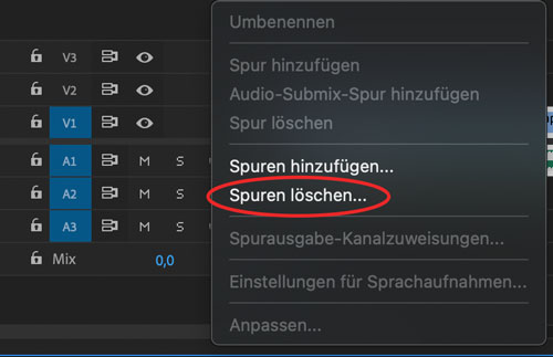 Screenshot Spuren löschen in Premiere